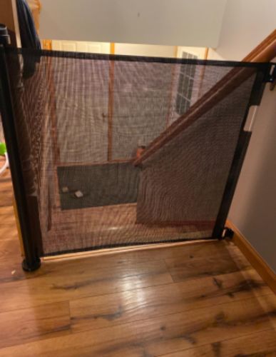 Retractable Dog Gate photo review