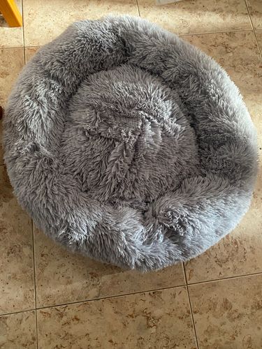 Round & Raised Cat Marshmallow Bed By Presentpet photo review