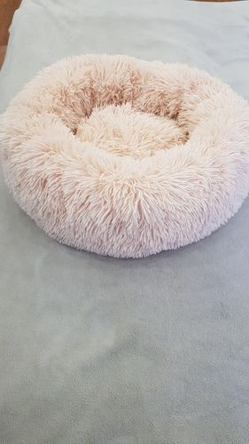 Round & Raised Cat Marshmallow Bed By Presentpet photo review