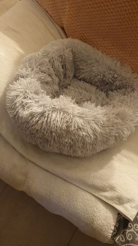 Round & Raised Cat Marshmallow Bed By Presentpet photo review