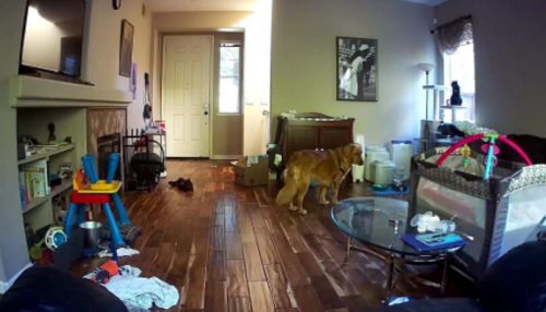 Smart Auto-Tracking Indoor Camera photo review