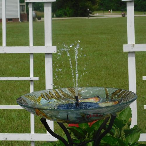 Solar Powered Bird Bath Water Fountain Pump - Garden And Pond photo review