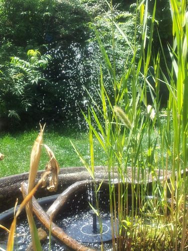 Solar Powered Bird Bath Water Fountain Pump - Garden And Pond photo review