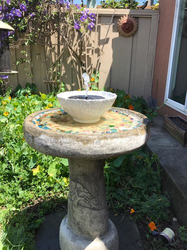 Solar Powered Bird Bath Water Fountain Pump - Garden And Pond photo review