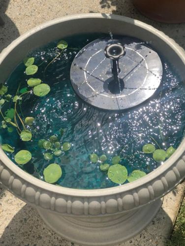 Solar Water Pond Fountain Garden photo review