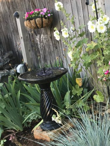 Solar Water Pond Fountain Garden photo review