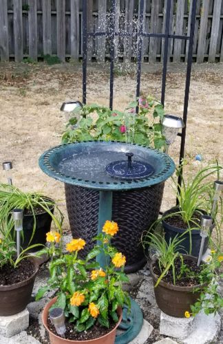 Solar Water Pond Fountain Garden photo review