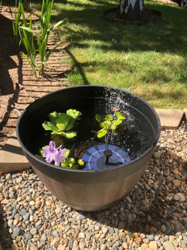 Solar Water Pond Fountain Garden photo review