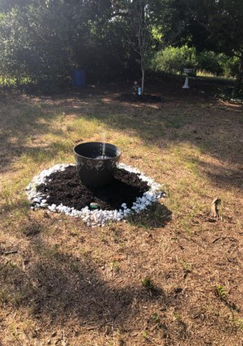 Solar Water Pond Fountain Garden photo review