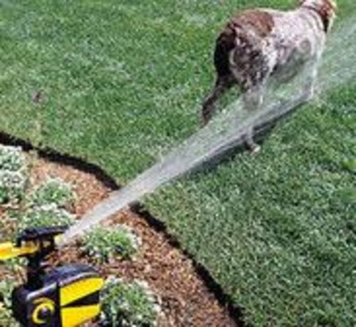 Spraycrow Solar Powered Motion Activated Animal Repellent Garden Sprinkler photo review