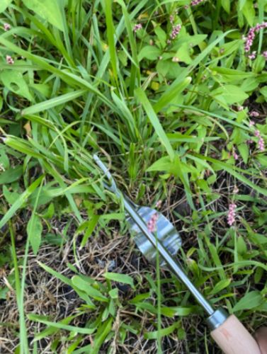 Stainless Manual Weed Puller photo review