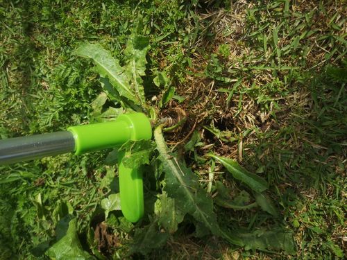 Standing Weed Puller Root Removal Tool photo review