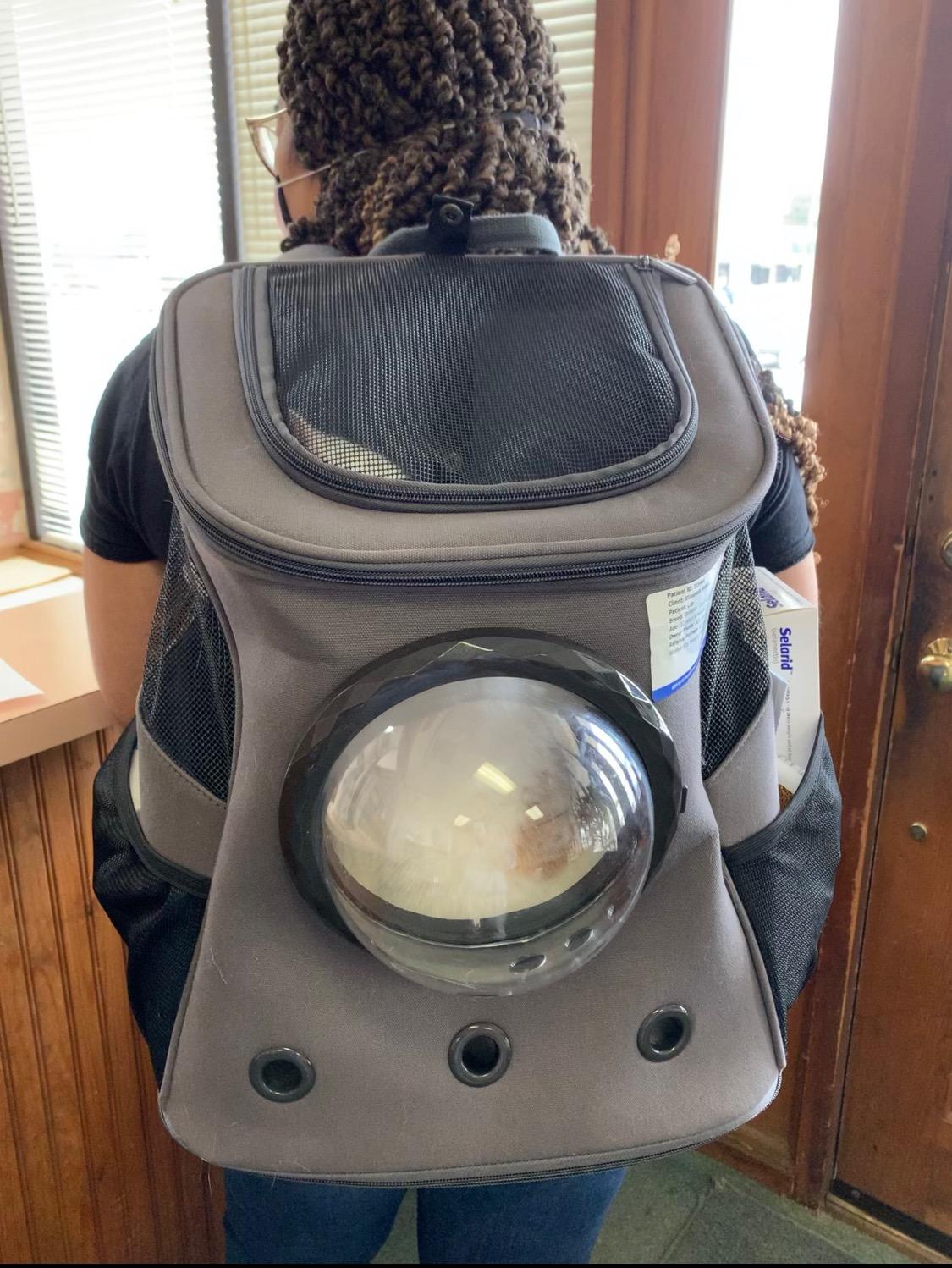 The Fat Cat Backpack For Larger Cats Capsule Bubble Window Cat Carrier photo review