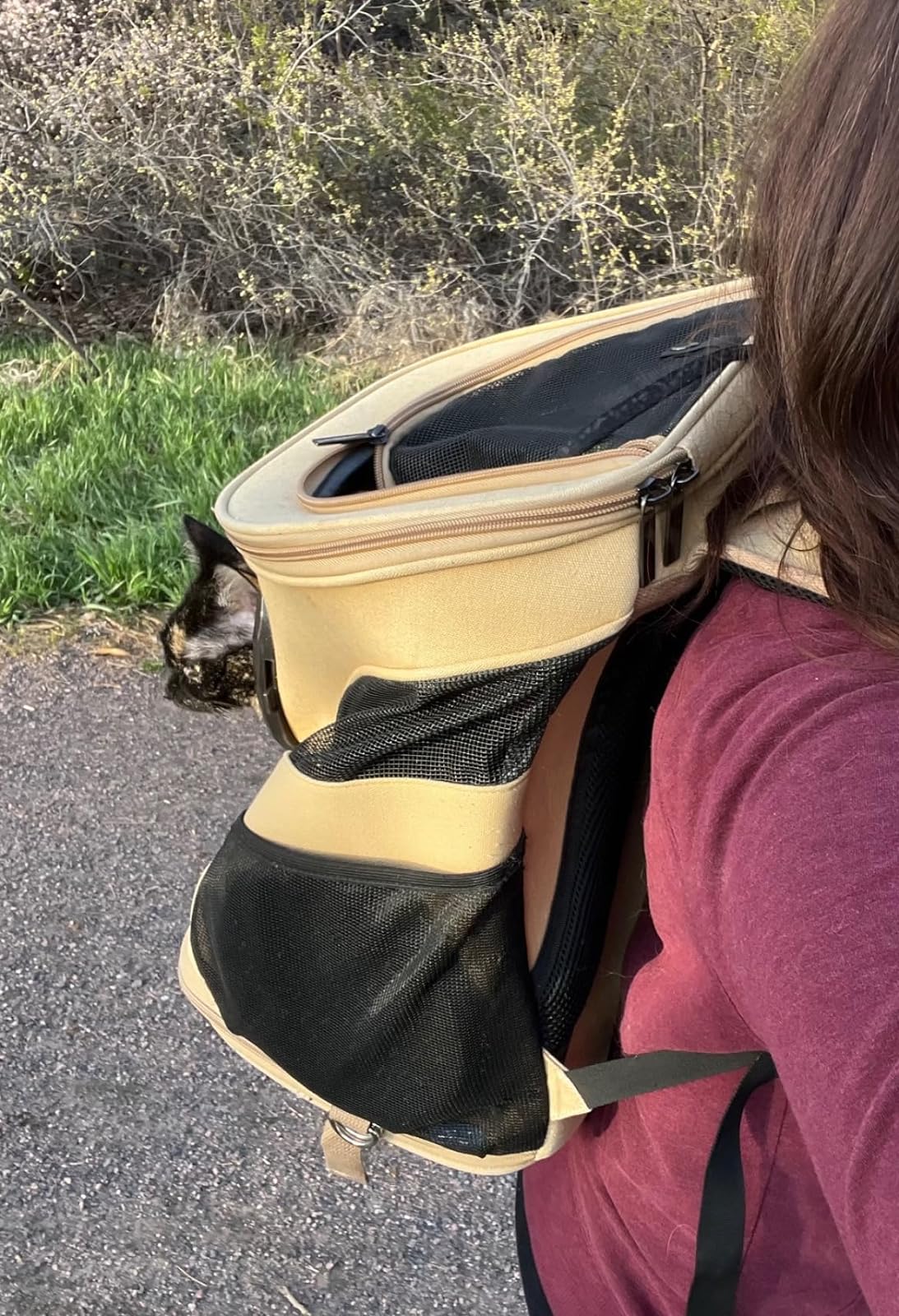 The Fat Cat Backpack For Larger Cats Capsule Bubble Window Cat Carrier photo review