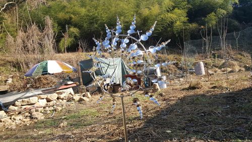 Wind Powered Kinetic Sculpture photo review