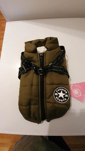 Winter Pet Jacket With Harness photo review