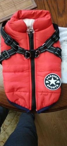 Winter Pet Jacket With Harness photo review