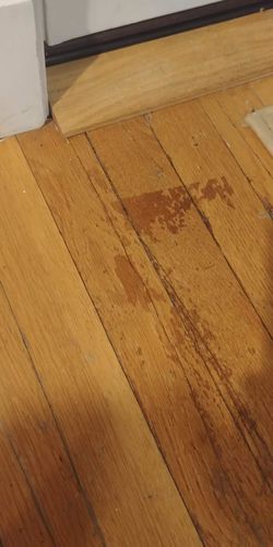 Instant Wood Scratch Remover Spray for Furniture and Floors photo review